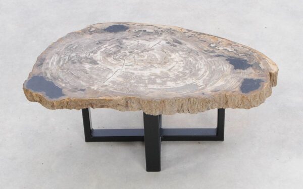 Coffee table petrified wood 47131