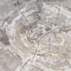 Coffee table petrified wood 47131
