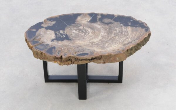 Coffee table petrified wood 47132