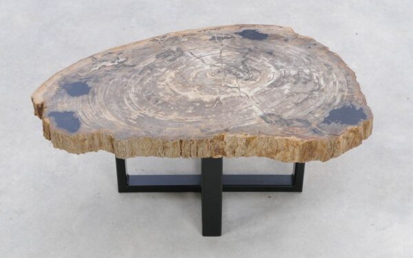 Coffee table petrified wood 47136