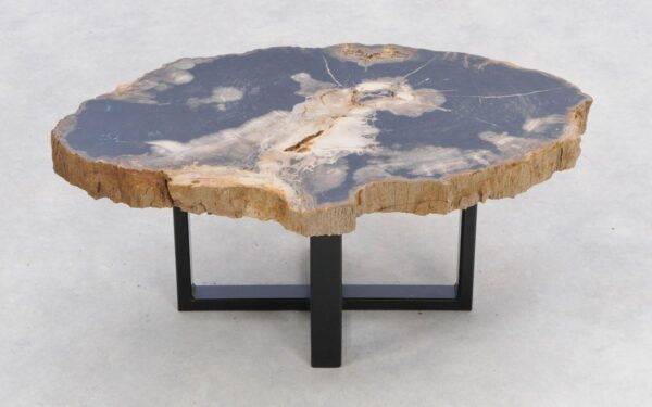 Coffee table petrified wood 47137