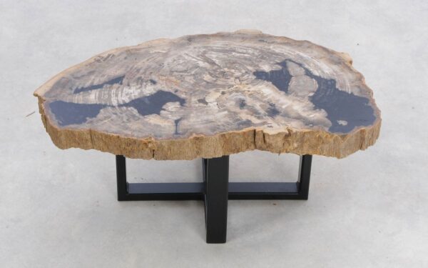 Coffee table petrified wood 47138
