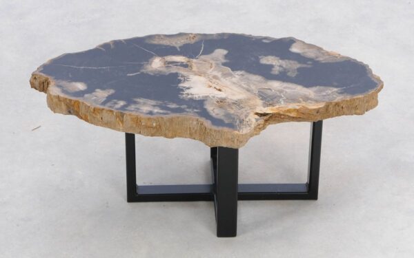 Coffee table petrified wood 47139