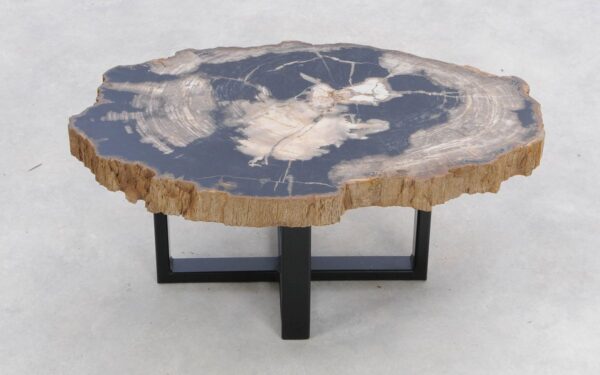 Coffee table petrified wood 47140