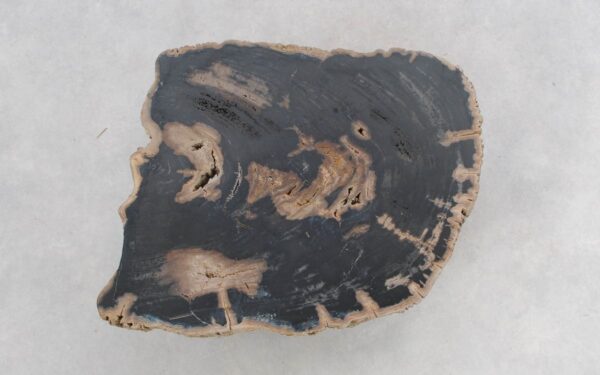 Coffee table petrified wood 47175