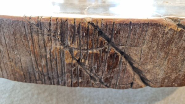 Couchtisch versteinertes Holz 32177