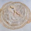 Couchtisch versteinertes Holz 44115