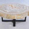 Couchtisch versteinertes Holz 44115