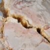 Couchtisch versteinertes Holz 44115