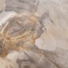 Couchtisch versteinertes Holz 46186