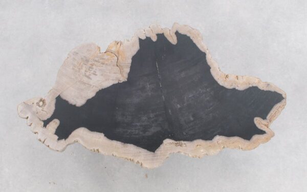 Couchtisch versteinertes Holz 46204g