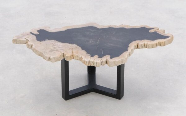 Couchtisch versteinertes Holz 46204h