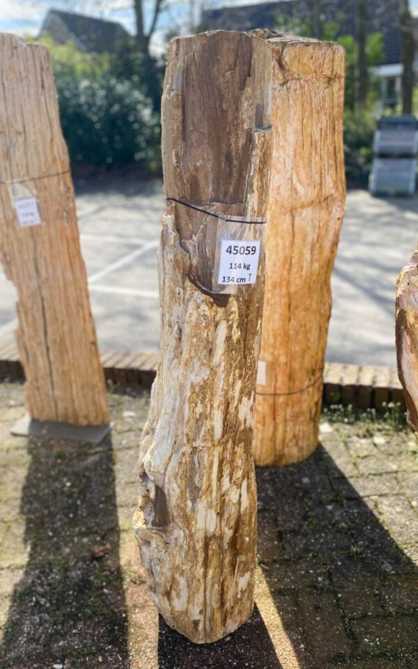 Grabstein versteinertes Holz 45059