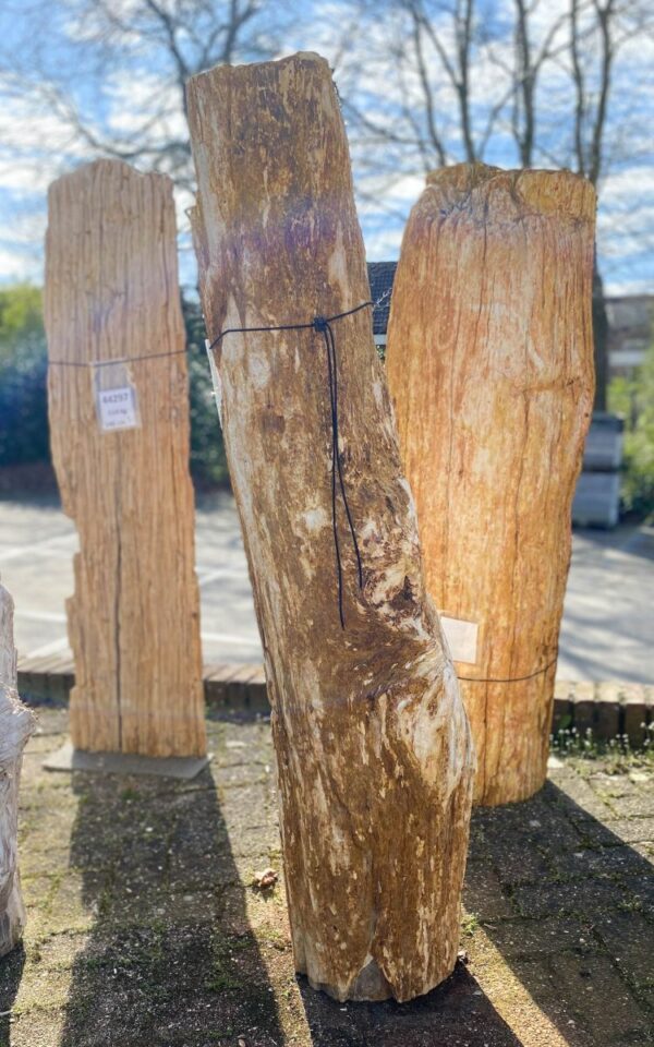 Grabstein versteinertes Holz 45059