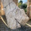 Grabstein versteinertes Holz 45082