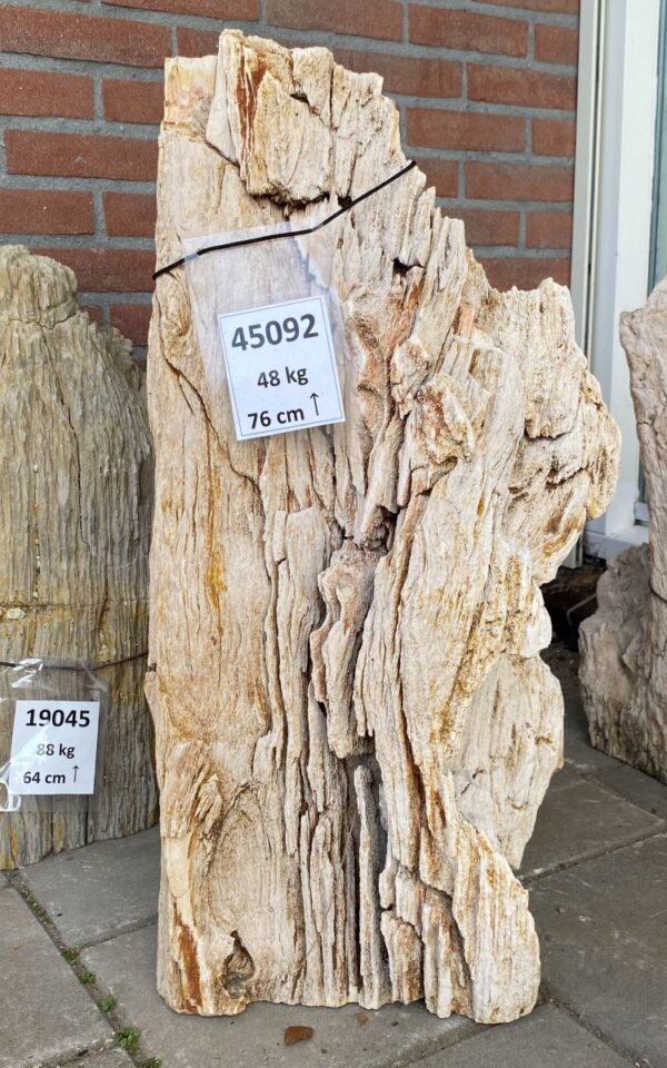 Grabstein versteinertes Holz 45092