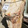 Grabstein versteinertes Holz 45250