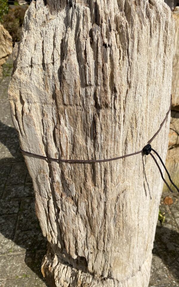 Grafsteen versteend hout 45066