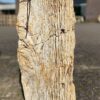 Grafsteen versteend hout 45084