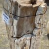 Grafsteen versteend hout 45084