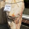 Grafsteen versteend hout 45250