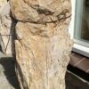 Grafsteen versteend hout 45250