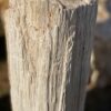 Lápida madera petrificada 45057