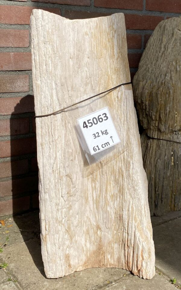 Lápida madera petrificada 45063