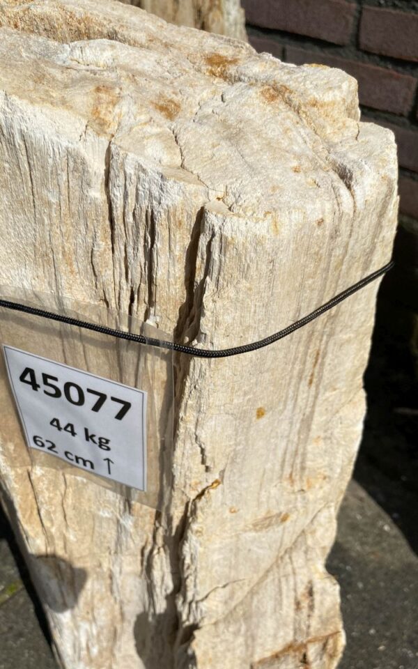Lápida madera petrificada 45077