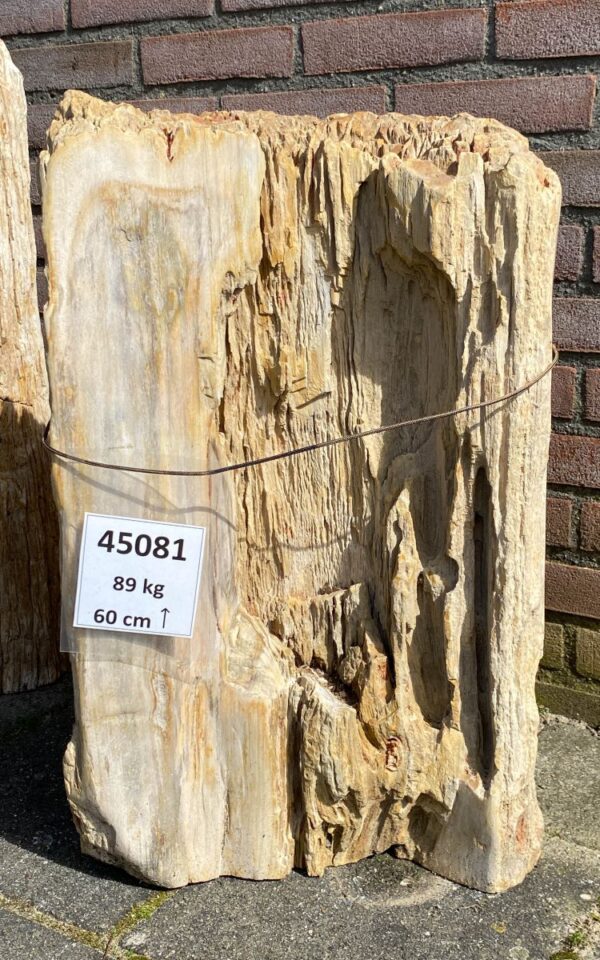 Lápida madera petrificada 45081