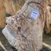 Lápida madera petrificada 45082