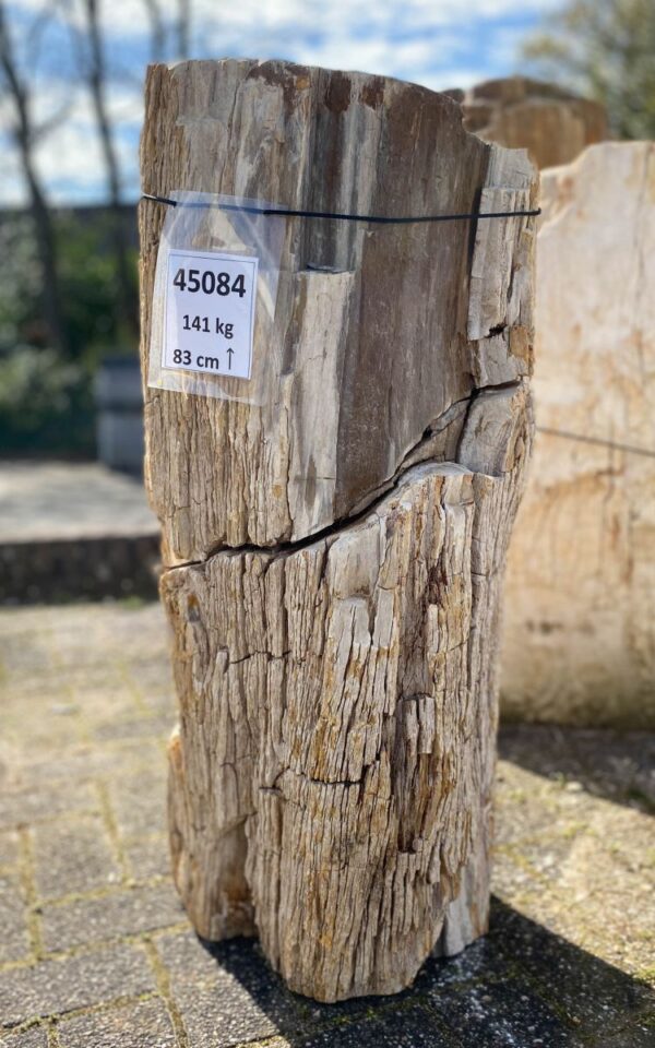 Lápida madera petrificada 45084