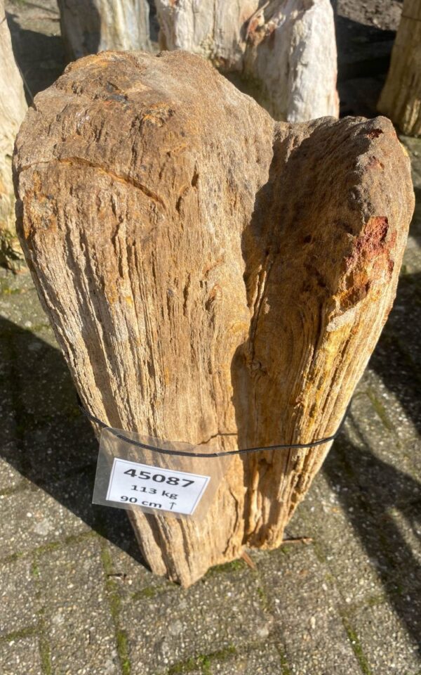 Lápida madera petrificada 45087