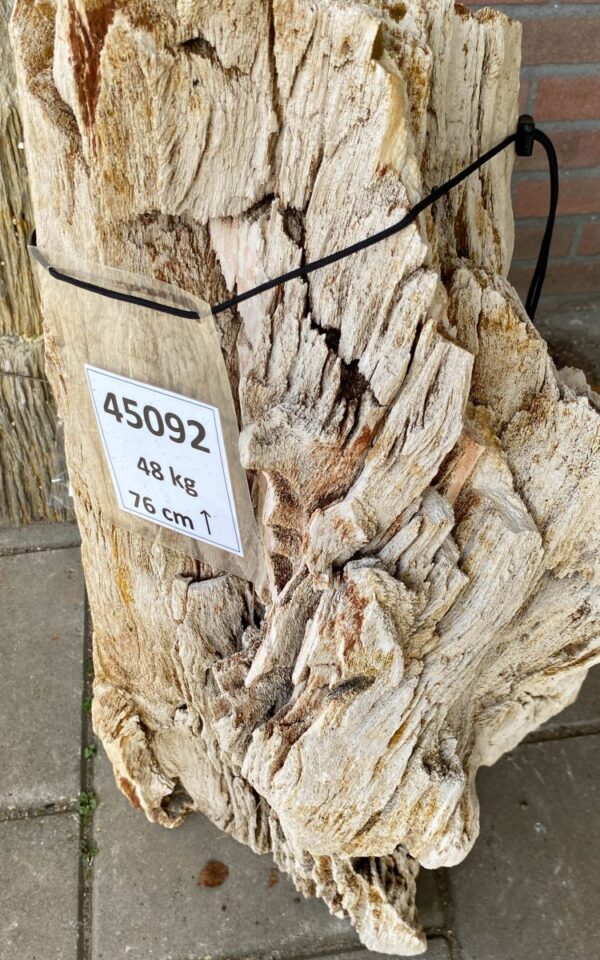 Lápida madera petrificada 45092