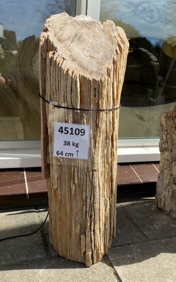 Lápida madera petrificada 45109