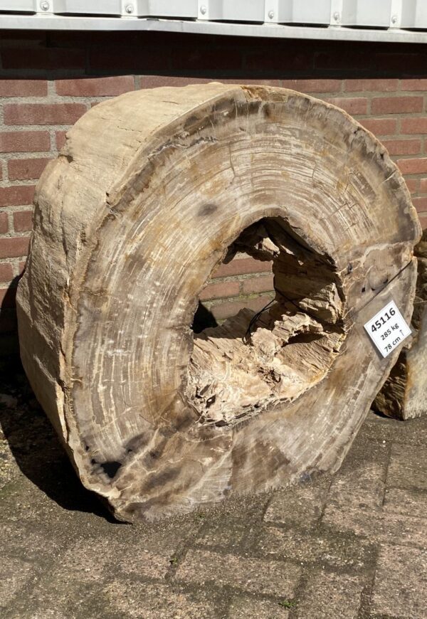 Lápida madera petrificada 45116