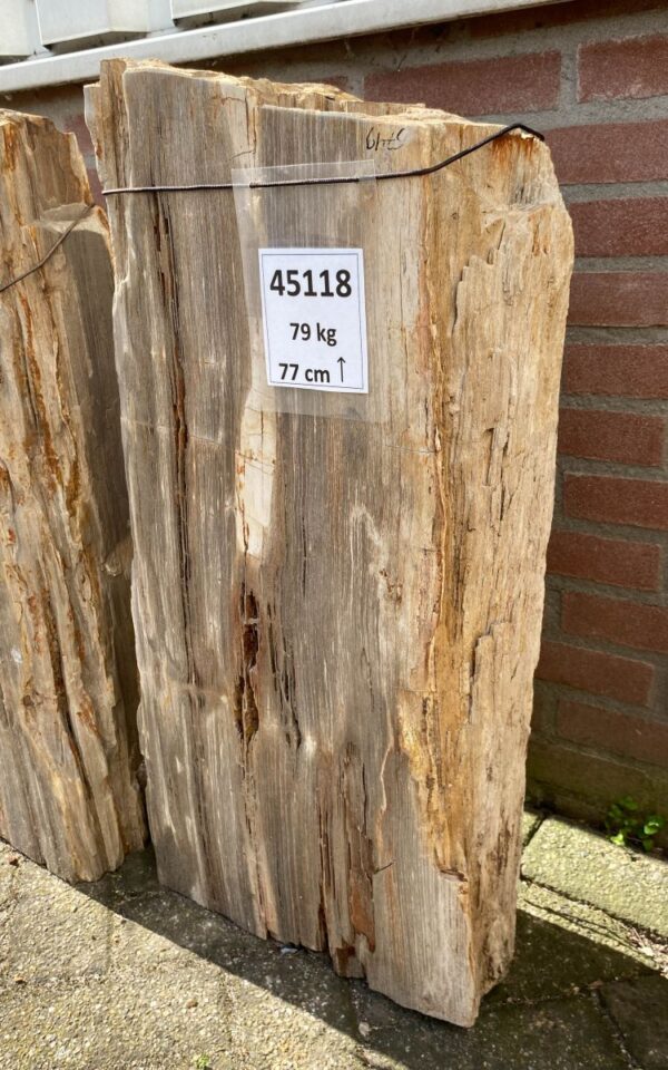 Lápida madera petrificada 45118