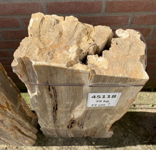 Lápida madera petrificada 45118