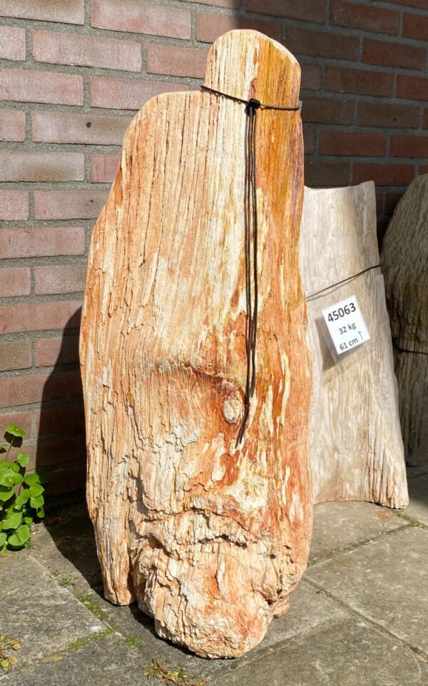 Lápida madera petrificada 45121