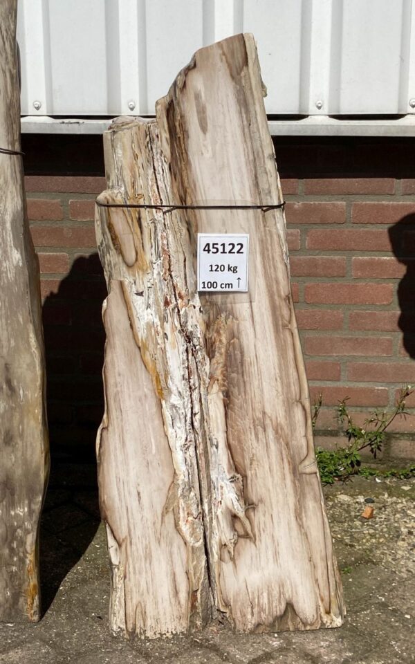 Lápida madera petrificada 45122