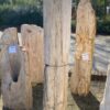 Memorial stone petrified wood 45057