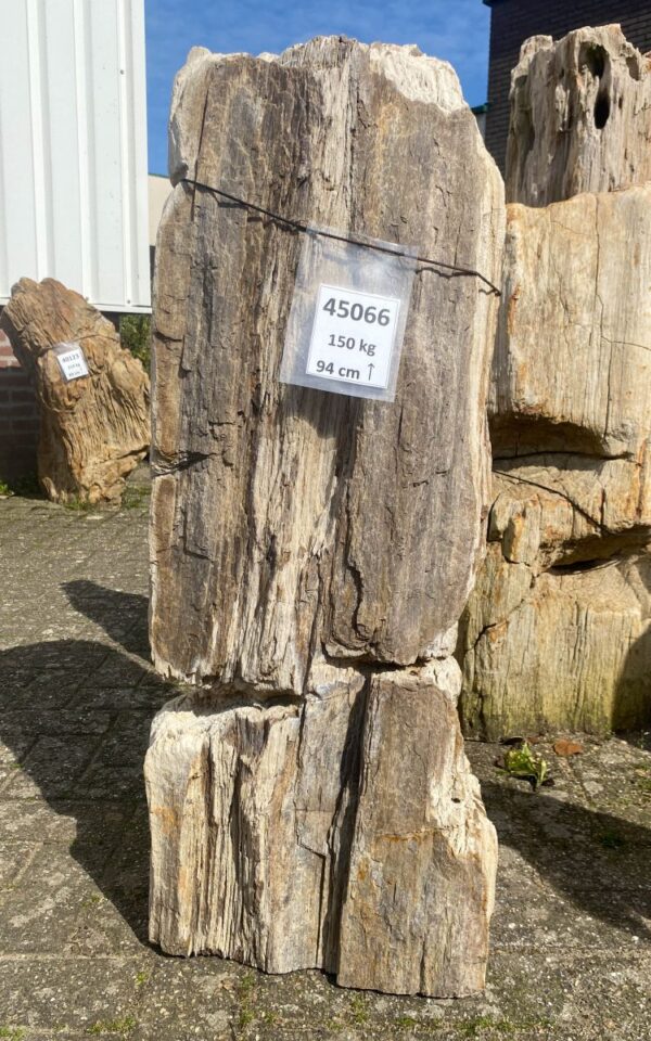Memorial stone petrified wood 45066