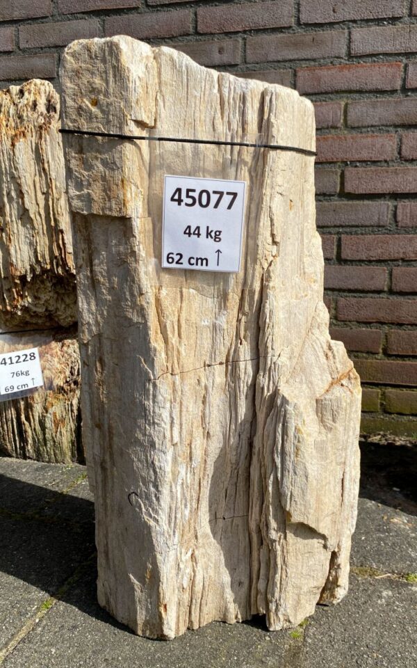 Memorial stone petrified wood 45077