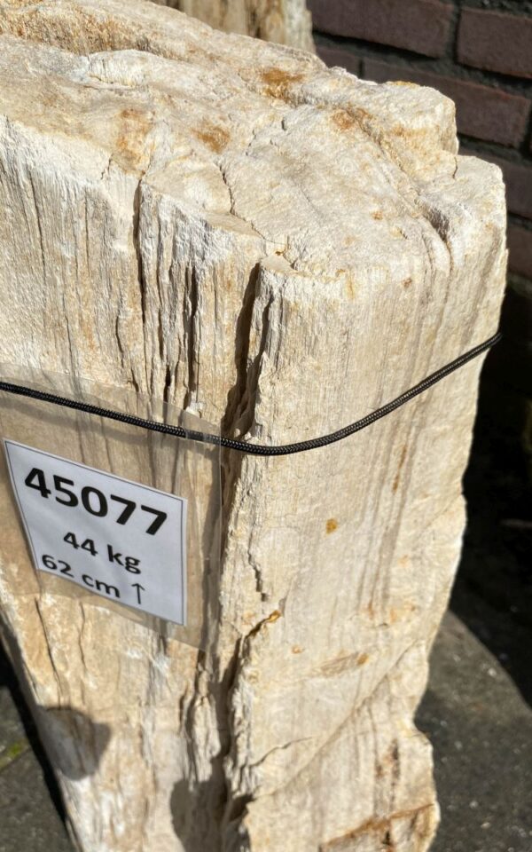 Memorial stone petrified wood 45077