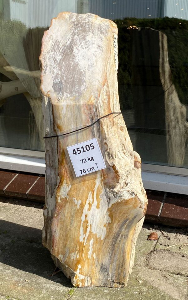 Memorial stone petrified wood 45105