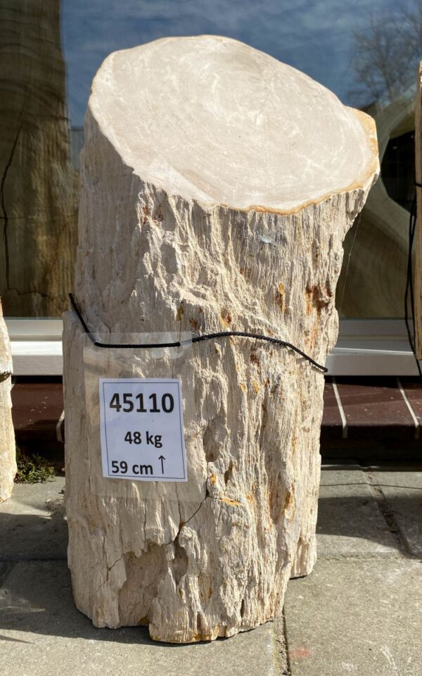 Memorial stone petrified wood 45110