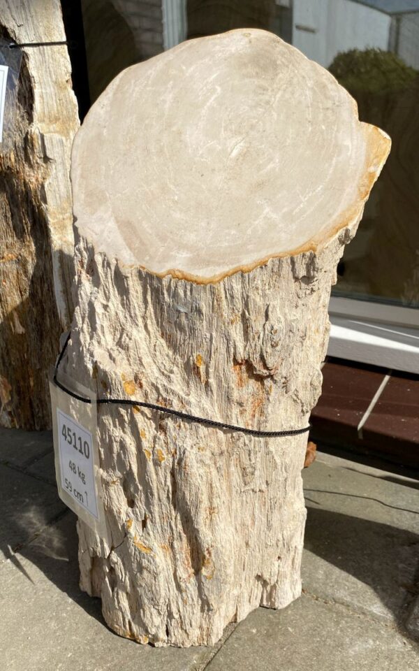 Memorial stone petrified wood 45110