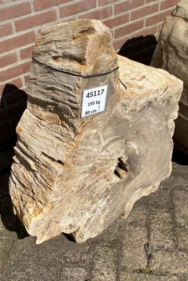 Memorial stone petrified wood 45117