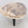 Mesa de centro madera petrificada 46186