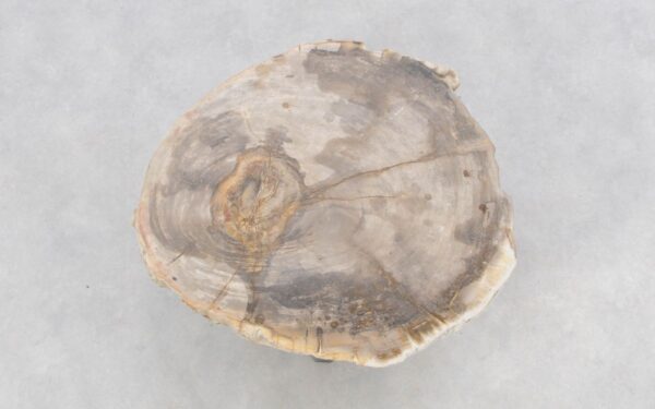 Mesa de centro madera petrificada 46187